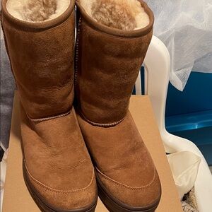 UGG Chestnut Suede Boots with Plush Lining